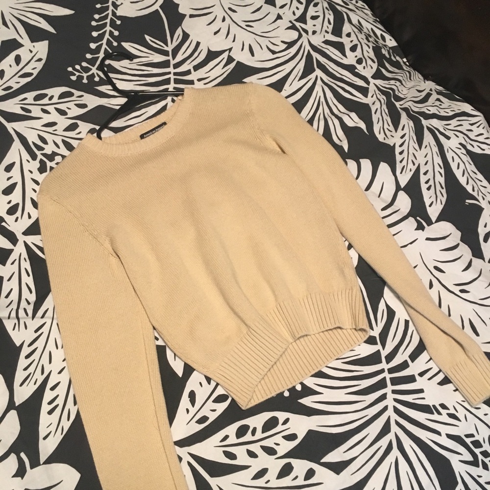 American Apparel Tan Cropped Sweater.